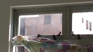 La russa moglie curvy accetta di scopare con un amico.